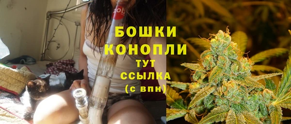 PSILOCYBIN Балахна