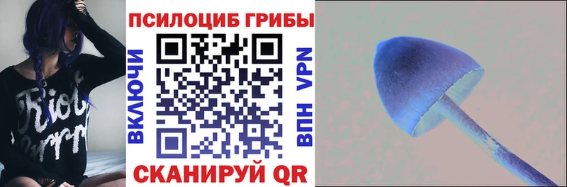 закладка  ссылка на мегу зеркало  Галлюциногенные грибы Psilocybe  Реутов 